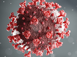 新型コロナウイルス抗原PCR検査