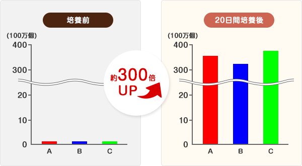 3人分（A・B・C）の研究用リンパ球細胞をがん患者さまと同じ方法で20日間培養し、細胞数を測定しました。