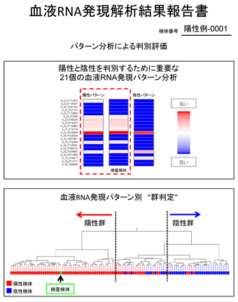 血液RNA発現解析結果報告書