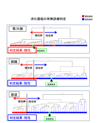血液RNA発現解析結果報告書